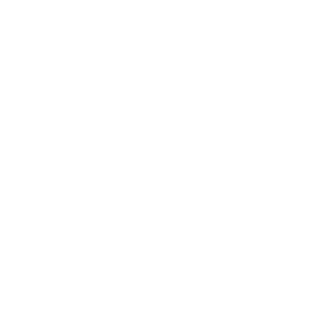 Bonfire Studios logo